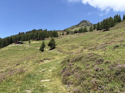 Foto de Marcel Groot a lo largo del recorrido