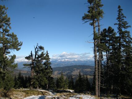 Waldheimhütte - Zirbitzkogel