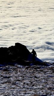 Foto von 〽️anni entlang der Tour