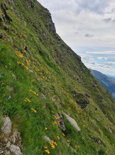Foto von Sonja Stockreiter entlang der Tour