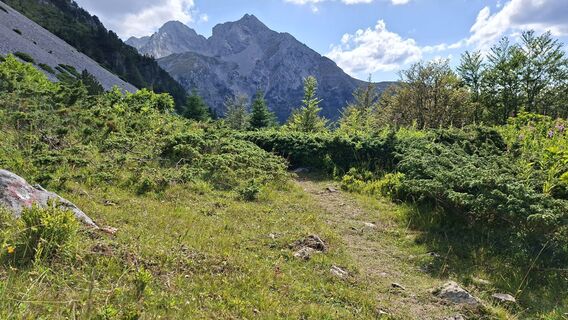 Foto de Sase Dinev a lo largo del recorrido