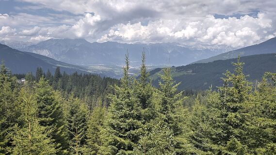 Fotografija s spletne strani Noreen Harz na poti