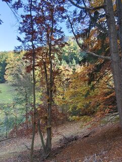 Фото с сайта Heinz Weber in во время экскурсии