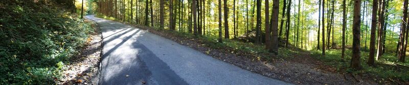 Gänsbrunnstraße - unterer Teil (Wald)