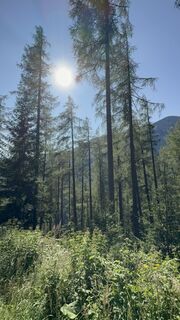 Foto von NezSari entlang der Tour