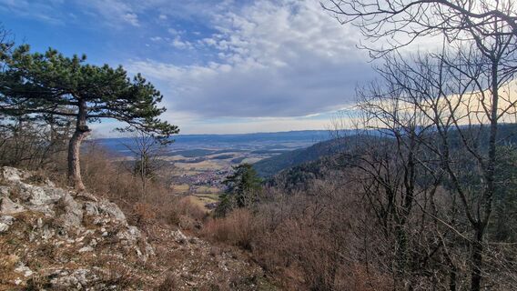 Photo de Michael D le long du parcours