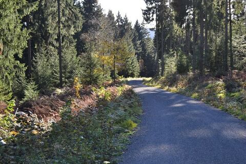 durch die Natur