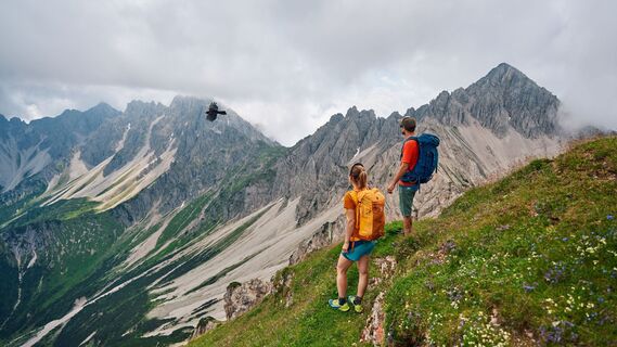 Wanderer im Karwendel - Dohle im Flug.jpg