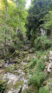 Foto från Michael Jung under resans gång