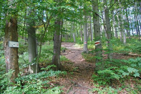 Wieshofer Steig