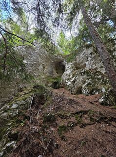 Photo de Michael Kammerer 2 le long du parcours