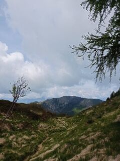 Foto von Aner entlang der Tour