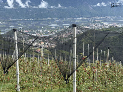 Alpenbogen A151 Sankt Walburg im Ultental - Meran