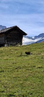 Foto von tinu55 entlang der Tour