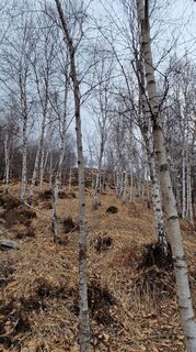 Foto von Fabrizi Mellano entlang der Tour