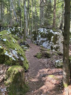 Photo de Belisimul le long du parcours