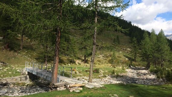 Alpe di Sfii