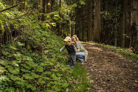 20250427_Sonnenrunde_3596.jpg