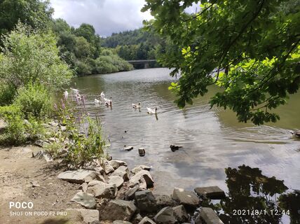 Foto von Edit Szoboszlay entlang der Tour