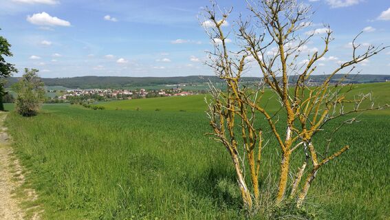 Auf den Spuren ehemaliger Mühlen im Orlatal