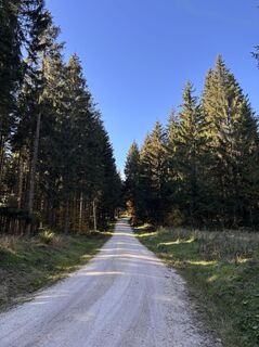 Photo de Heinz Sperl le long du parcours