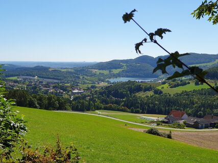 Foto von Gabriele R entlang der Tour