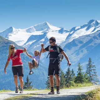 Weg von der Steineralm in Richtung Neukirchen