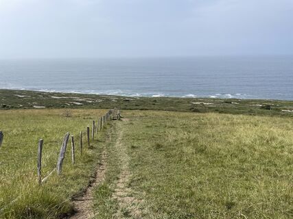 Photo de Florian Brandt le long du parcours