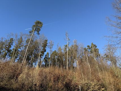 Foto von Florian Leopold Stonig entlang der Tour