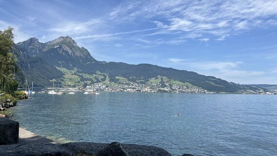 Fotografija s spletne strani Boris Schickedanz na poti