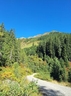 Fotografie z Gabrielasttz na trase