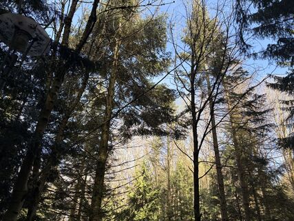 Foto von Nina Astleitner entlang der Tour