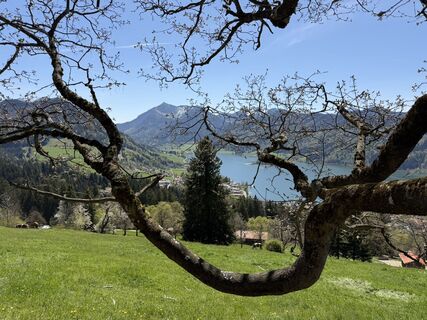 Zdjęcie z Sebastiaan Joustra wzdłuż trasy