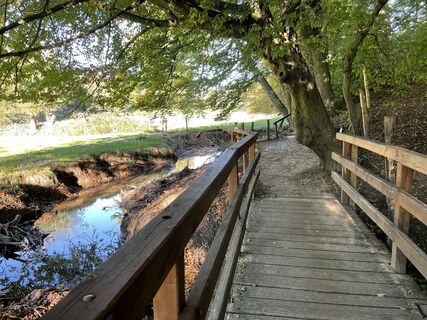 Fotografia z Thorsten Schulze na trase