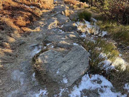 Fotografia z Natur_erleben_dg na trase