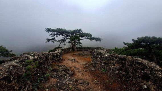 Fotografie z Regina Fleischmann na trase