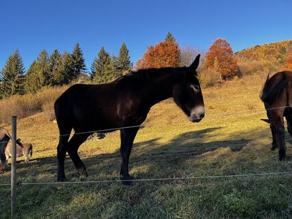 Fotografie z Stefano “Iddo” na trase