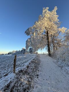 Foto de Raphael Häfliger 1 a lo largo del recorrido