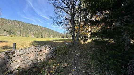 Kuva osoitteesta peter_oe matkan varrella