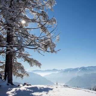 Blick vom Hörnle auf die Zugspitze