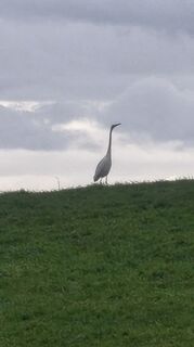 Fotografie z Sauerpurzel na trase