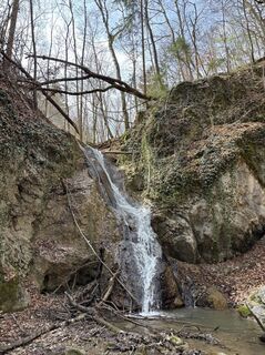 Photo de Anna Martynova le long du parcours