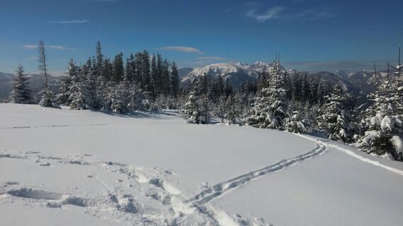 Sohlenalm