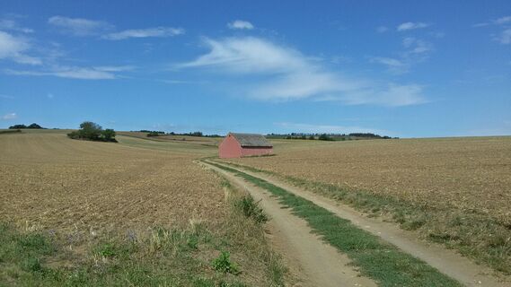 Rund um den Glockenberg ab/bis Ulrichskirchen