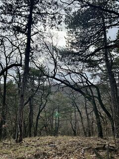 Fotografie z Kellner Heidi na trase