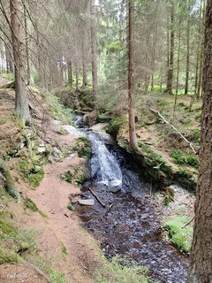Photo de Jana Fickenwirth le long du parcours