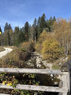 Fotografia z Heinz Sperl na trase