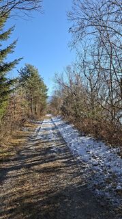 Photo de Mangolein le long du parcours