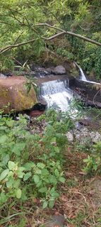 Zdjęcie z Janez gorišek wzdłuż trasy