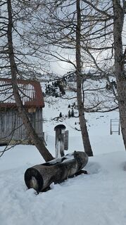 Foto de Sophiehedo a lo largo del recorrido